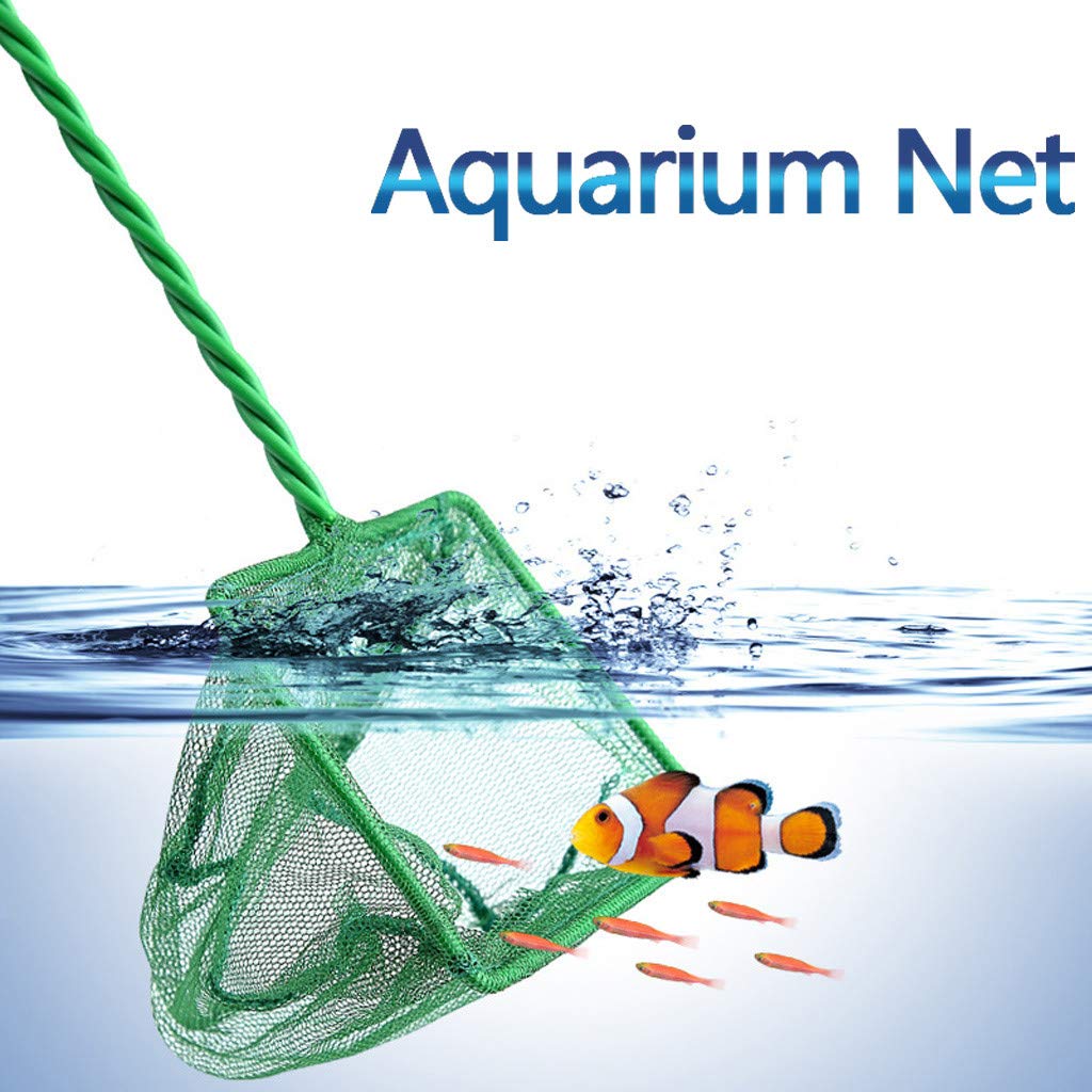 3/4/5/6/8/10/12 Inch Aquarium Net Fine Mesh Small Fish Catch Nets Shrimp Net with Plastic Handle - 7 Sizes to Choose