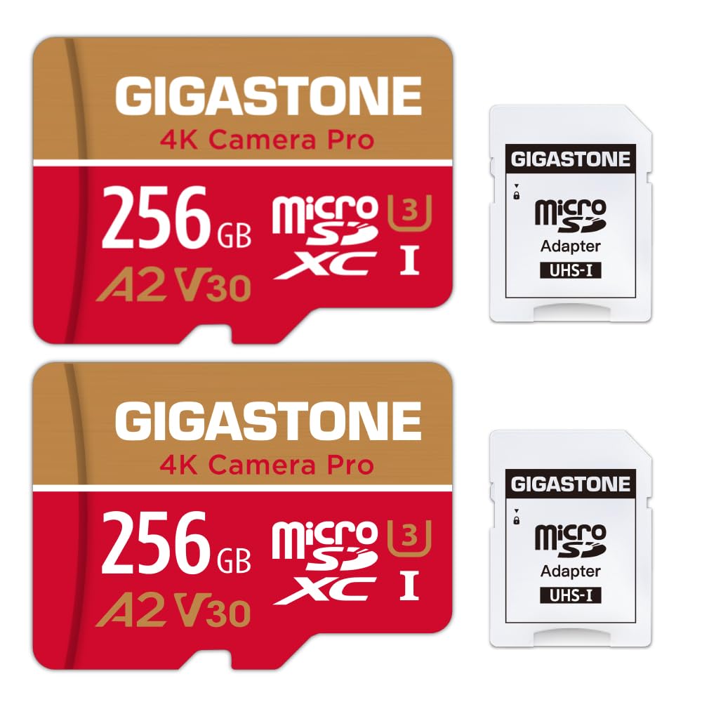 5 Anni Recupero Dati Gratuito] Gigastone scheda di memoria 512 GB 4K
