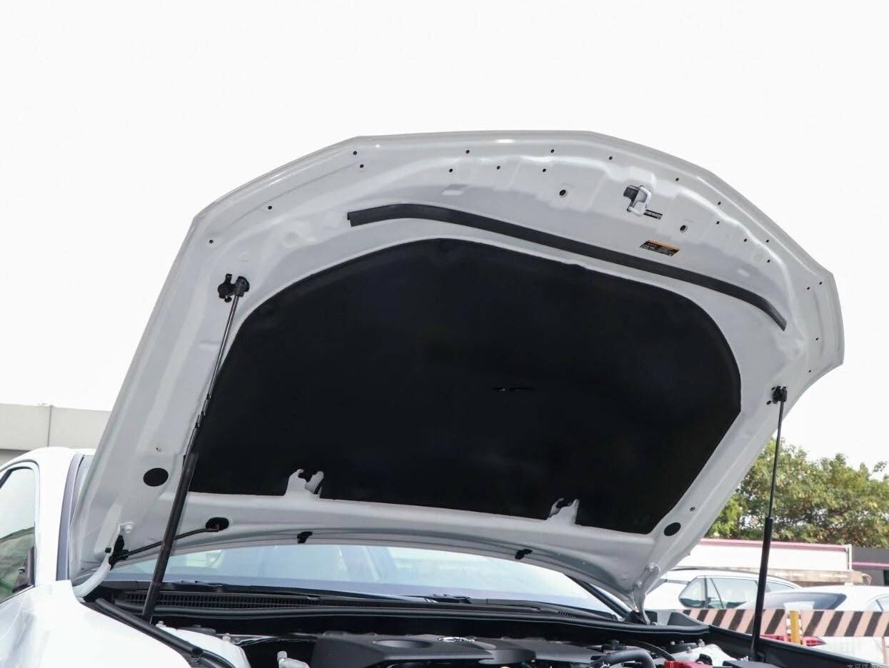 Repuesto de cárter de aceite Cubierta de algodón con cortafuegos de motor, capó delantero, transmisión automática Cárter | Apto con Camry 2018-2022 Aislamiento acústico y térmico.amortiguador de ruido