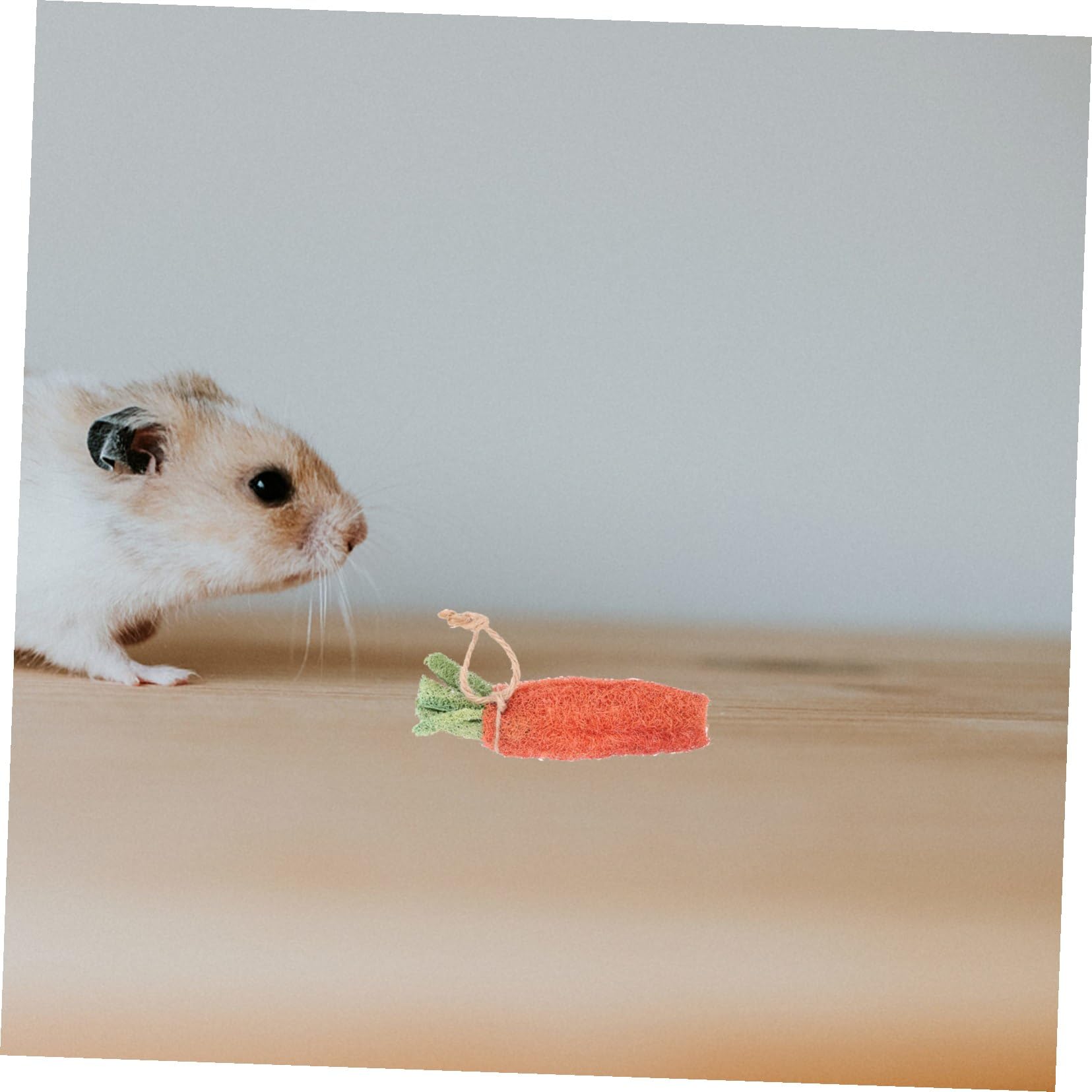 FOMIYES 8pièces Jouets à Mâcher pour Hamsters Décoration pour Cage de Hamster Accessoires pour Lapins Jouets Molaire pour Petits Animaux Couleur Aléatoire