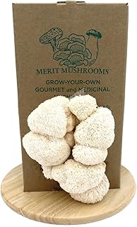 Merit Mushrooms - Large Lion's Mane Mushroom Growing Kit | Ready-to-Grow | Cut and Spray | Mushrooms in as Little as 2 Weeks | Grow Your Own Mushrooms