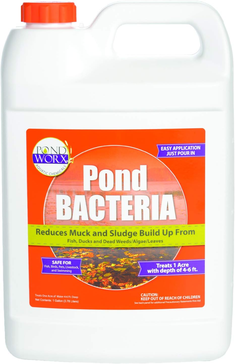 Pondworx Pond Bacteria Formulated for Large Ponds Water Features and