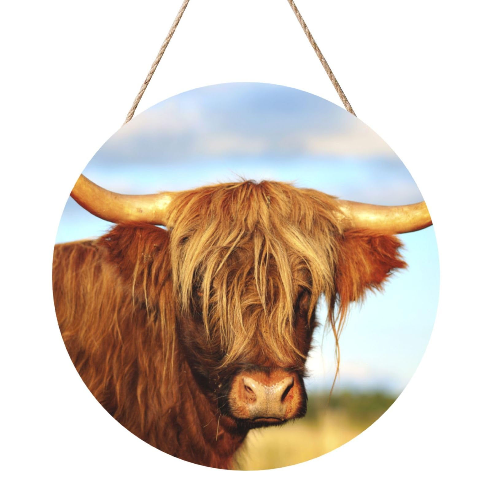 InOmak Highland Cow Printed, Round Wood Panel Painting 12 in, Wall Hanging Painting For Home