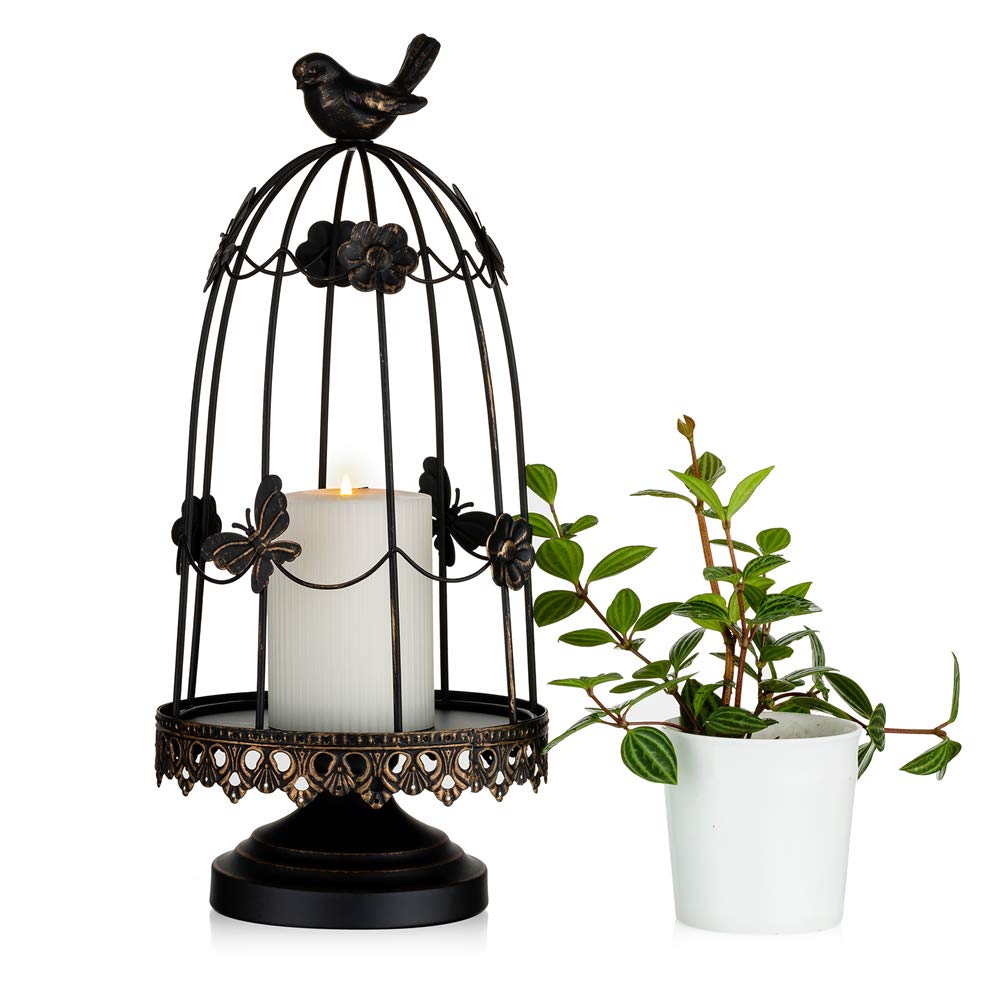 10 Best Decorative Toucan Bird Cages for Your Home Decor Hummingbirds