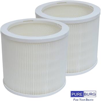 Amazon.co.jp: PUREBURG AS05FT-2 交換用フィルターディーエイチ