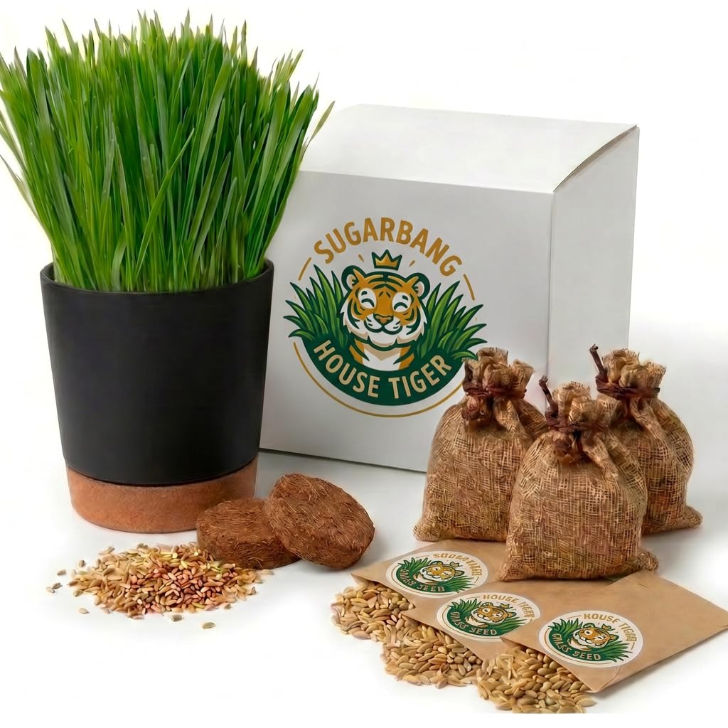 House Tiger Cat Grass Gift Set - Complete All-in-One Kit with Self-Watering Stay Fresh Pot &amp; 3-Pack Refill | Includes Premium Cat Grass Seed, Coco Coir Soil Discs | Aids Digestion &amp; Hairball Control