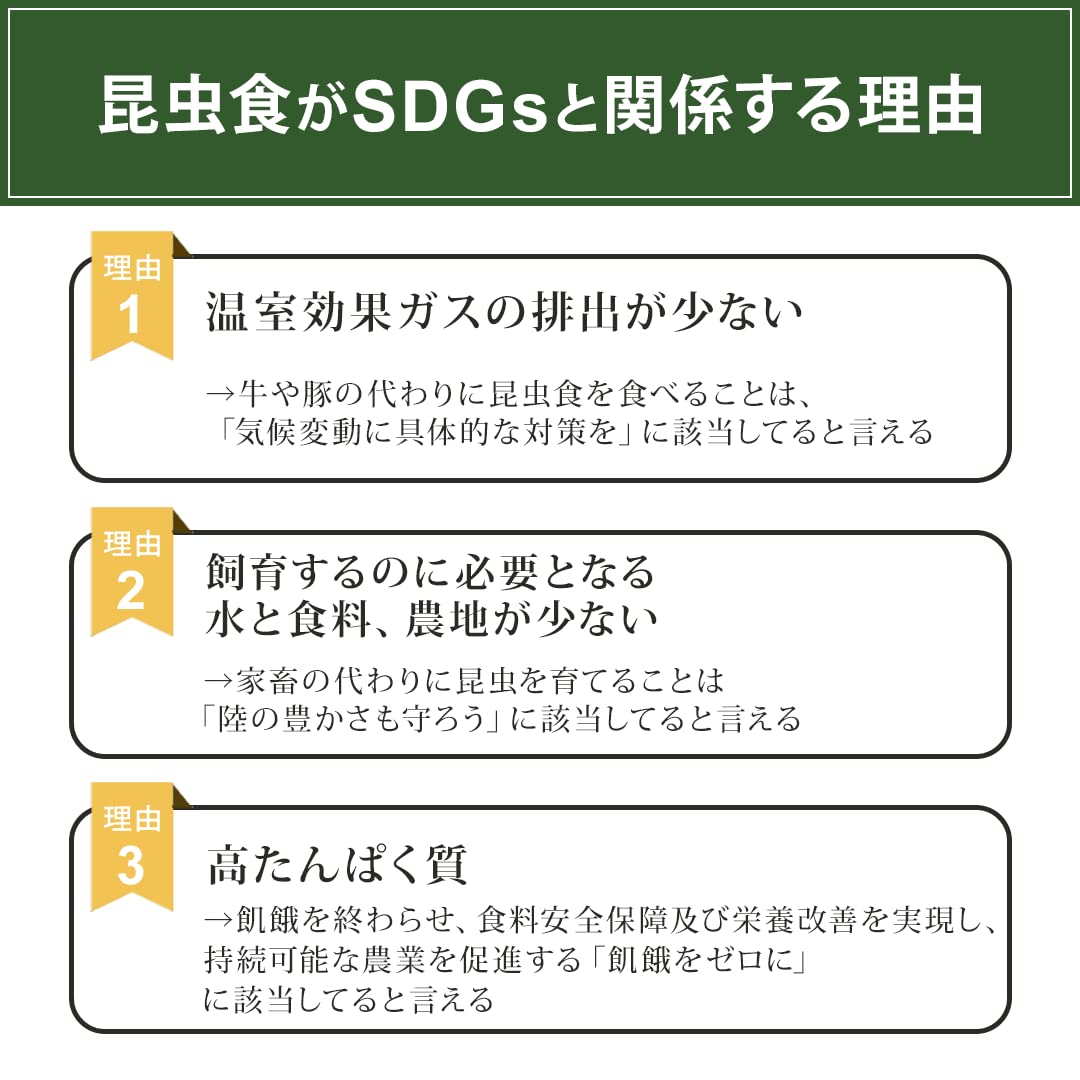 Amazon.co.jp: 昆虫食 食用 ランダム 1袋 昆虫食お楽しみパック (単品 
