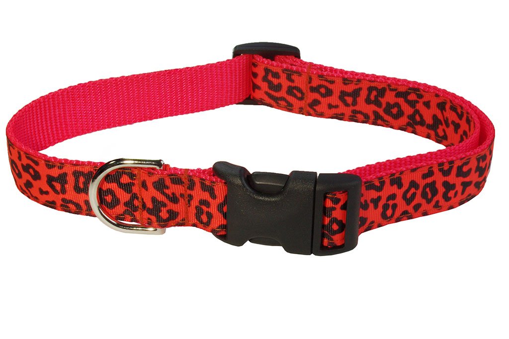 Sassy Dog Wear 1" x 18"-28" Leopard Dog Collar, Large, Orange (B00FAZRIYG) Amazon Price History, Amazon Price Tracker