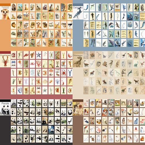 Image of 12 Sets 600 Sheets Washi Stickers Book for Journaling, Jungle Animal Sticker, Wild Zoo Sea Animal Aesthetic Scrapbook Dinosaur Sticker Set for Bullet Journal Card Craft Gift Rewards for Kid Notebook