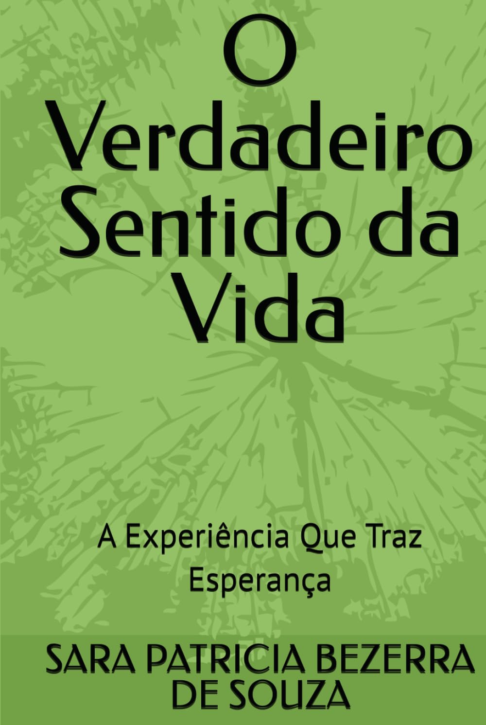 O Verdadeiro Sentido da Vida: A Experiência Que Traz Esperança