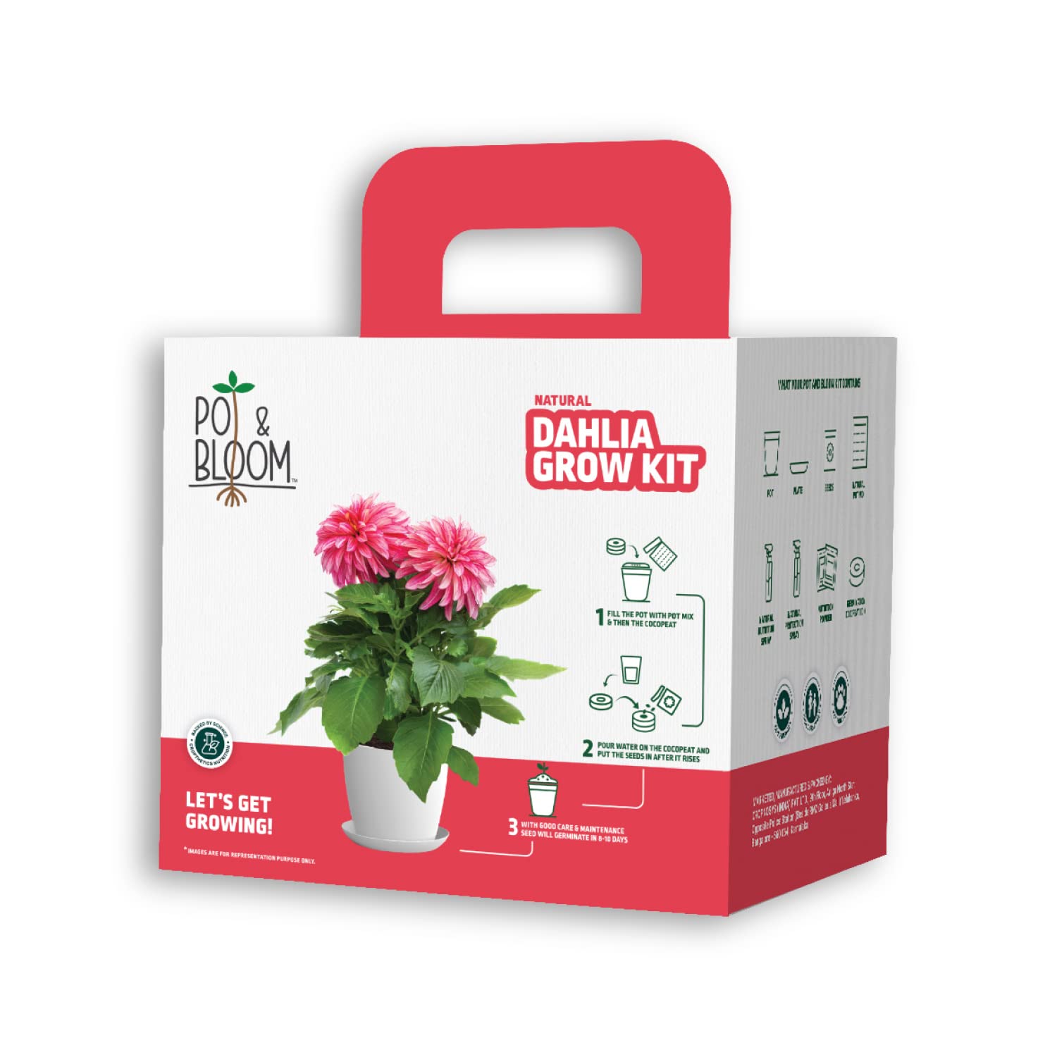 Dahila Flower Gardening Kit| Home Gardening| Includes- Dahila Seeds, Pot, Poting Mix(Soil & Fertilizer Mix), Plant Growth and Protection Spray, Cocopeat, Nutrition Powder| Return Gift|