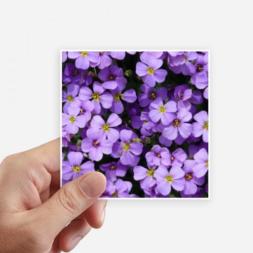 Autocollant carré fleurs pourpres pour personnaliser votre valise et moto