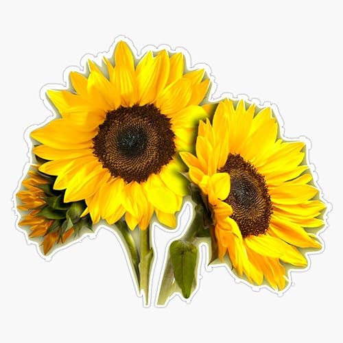 Vinilo impermeable con diseño de girasol para coche, portátil, ventana, 5 pulgadas