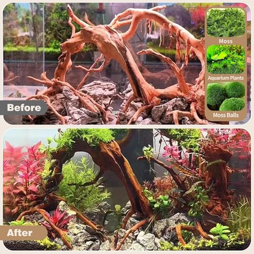 Image of WDEFUN Natural Spiderwood for Aquarium Decor 7-Piece 4''-8'' Long Natural Driftwood Branches for Fish Tank Decorations