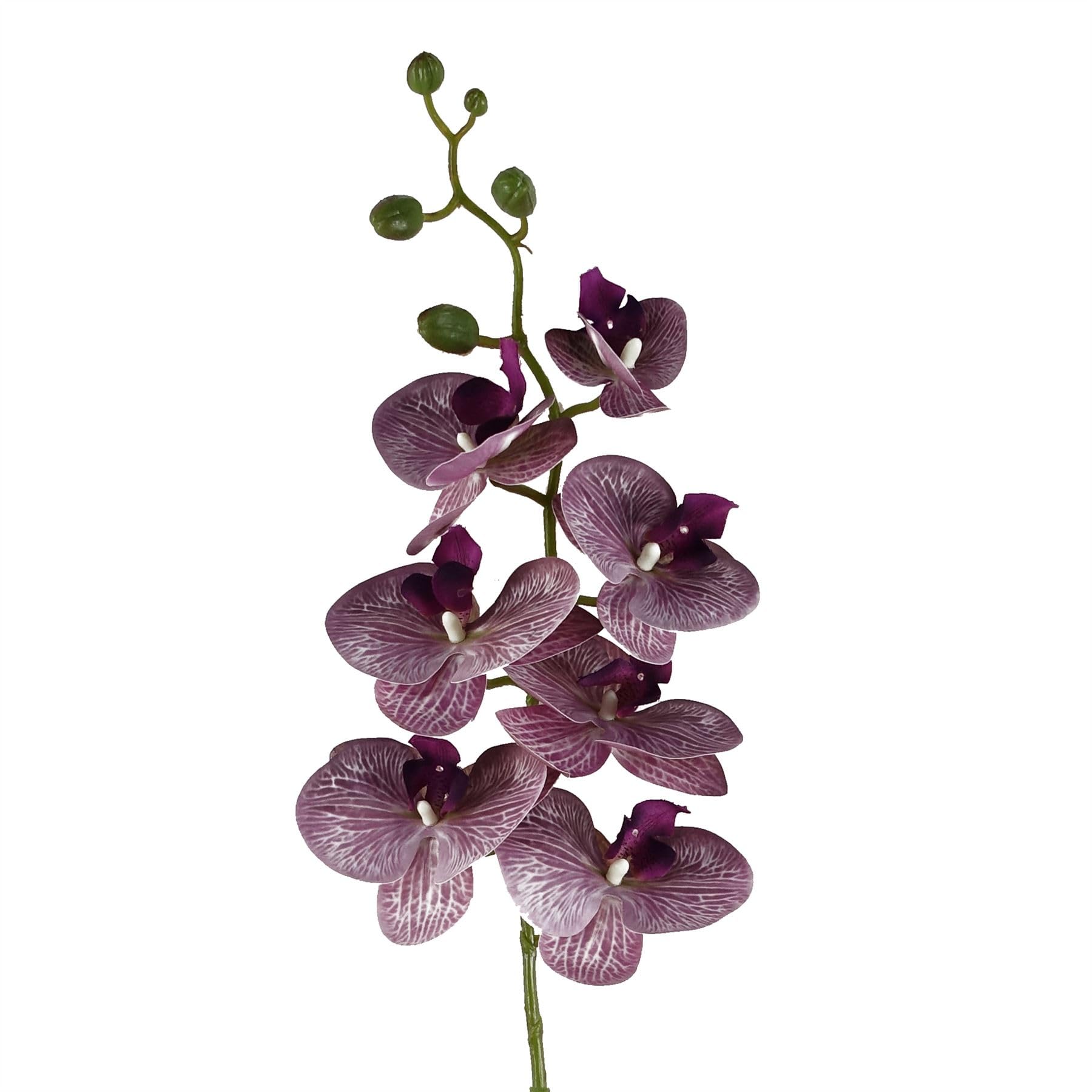 Blue Pirate Purple Artificial Flowers Phalaenopsis Orchid Stem 100Cm