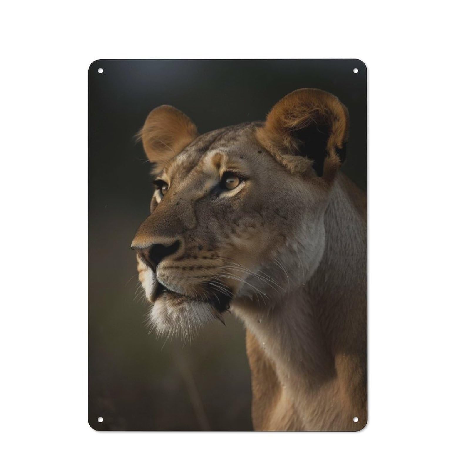 Junmoney Style-11 Creative Lioness Wildlife Portrait Metal Desk Wall Sign 40X30cm, Study Room Decor For Home Office, Reading Corner Or Bedroom