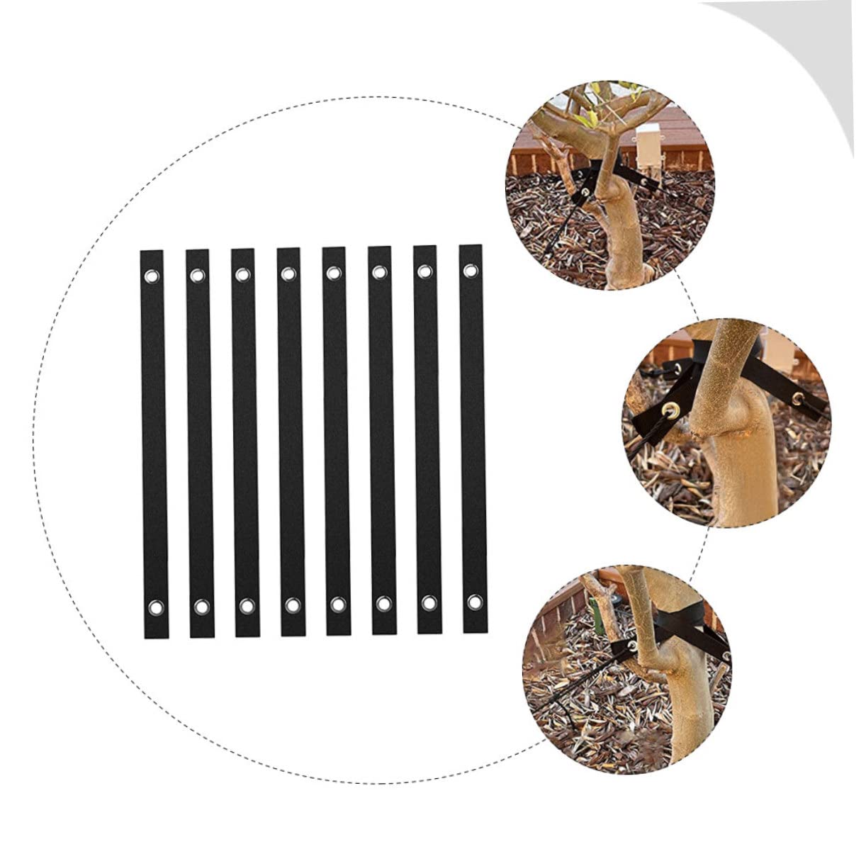 TOYANDONA 3 Set Cinghie per Fissaggio E Flessibile per Alberelli Protezione Ottimale per Piante Resistente E Duraturo Facile da Installare 8 Pezzi*3