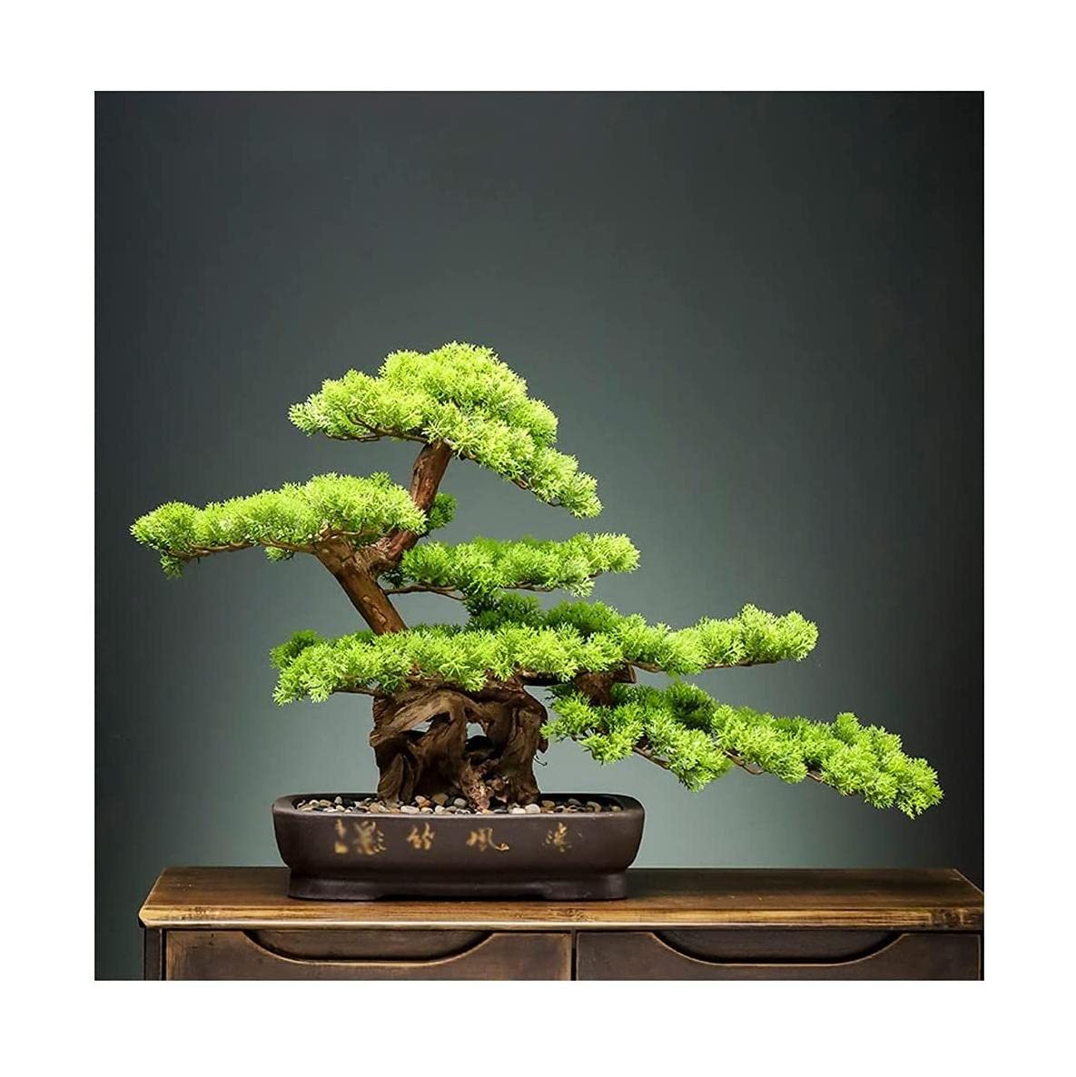 在銘あり ミニ盆栽に最適 和風インテリア 盆栽 盆栽用添景物 ミニ盆栽