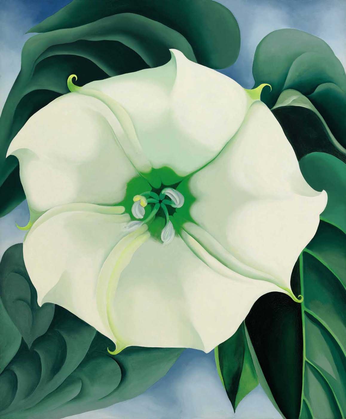 Tallenge - Georgia O'Keeffe - Jimson WeedWhite Flower No 1 - Unframed Rolled A3 Size Poster (11.6x16.5 inches)