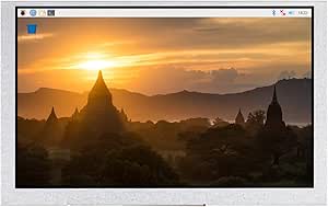 Amazon.com: Waveshare 5inch DSI Display, 800 × 480 Resolution, IPS ...