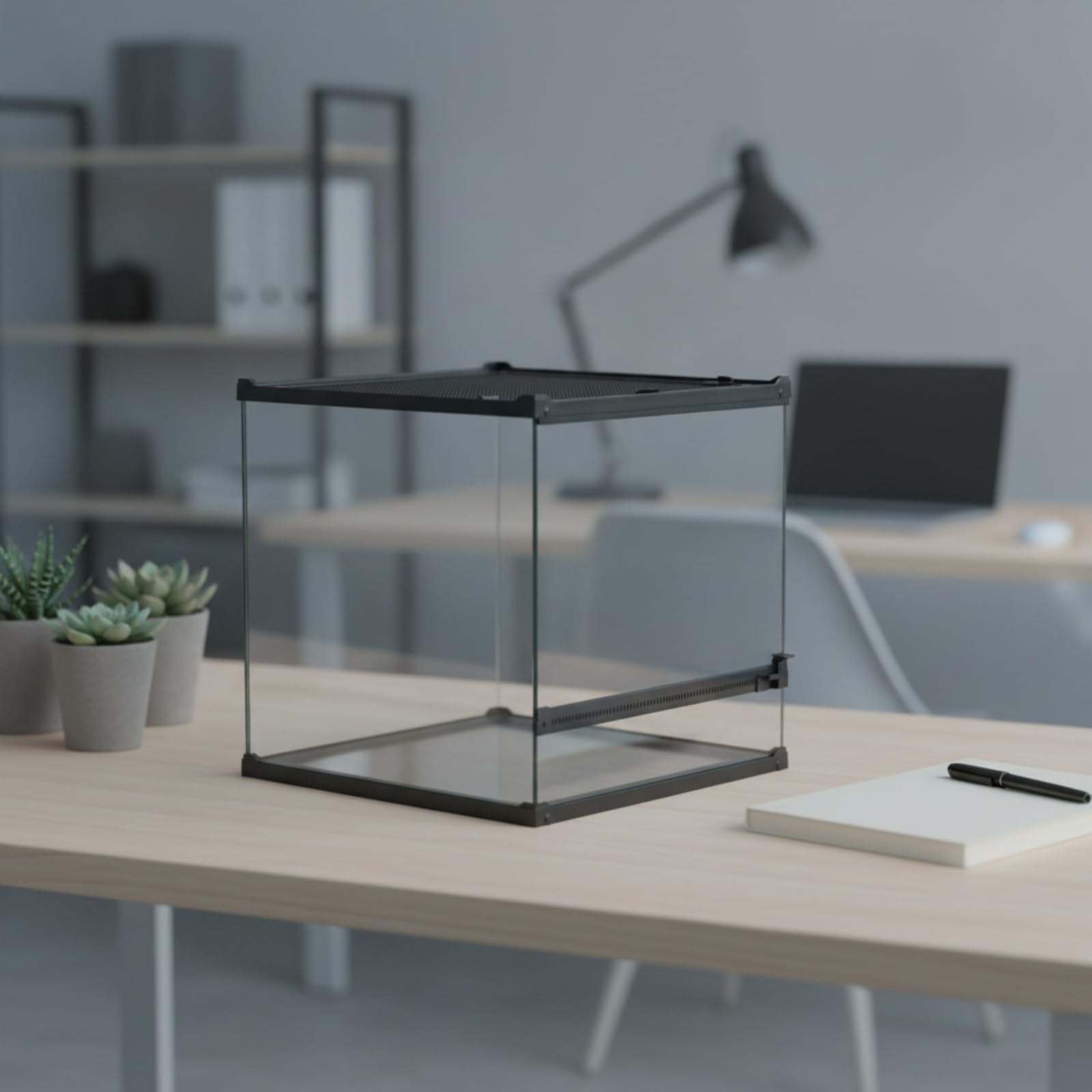 Terrarium en Verre, 40 40 40