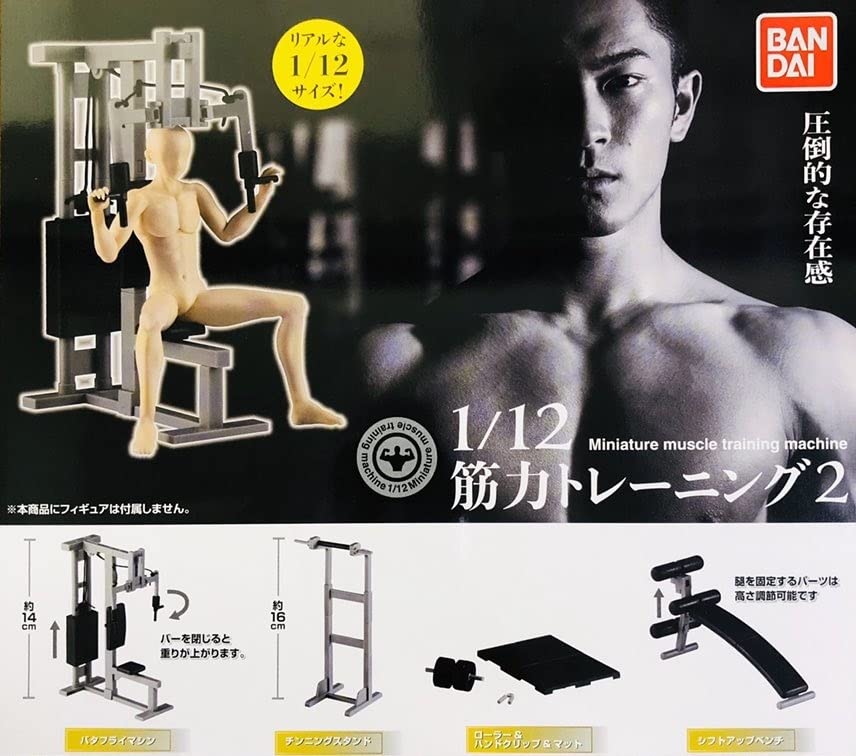 Amazon.co.jp: 1/12 筋トレーニング 2回目 全4種 セット バタフライ 