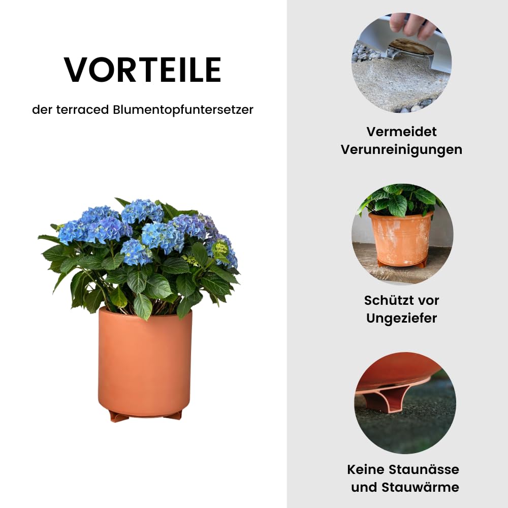 terraced®, Set of 2, Flower Pot Saucers, Colour: Terracotta, Round, 27 cm Diameter, Saucer Flower Pot, Recycled Material - Image 2