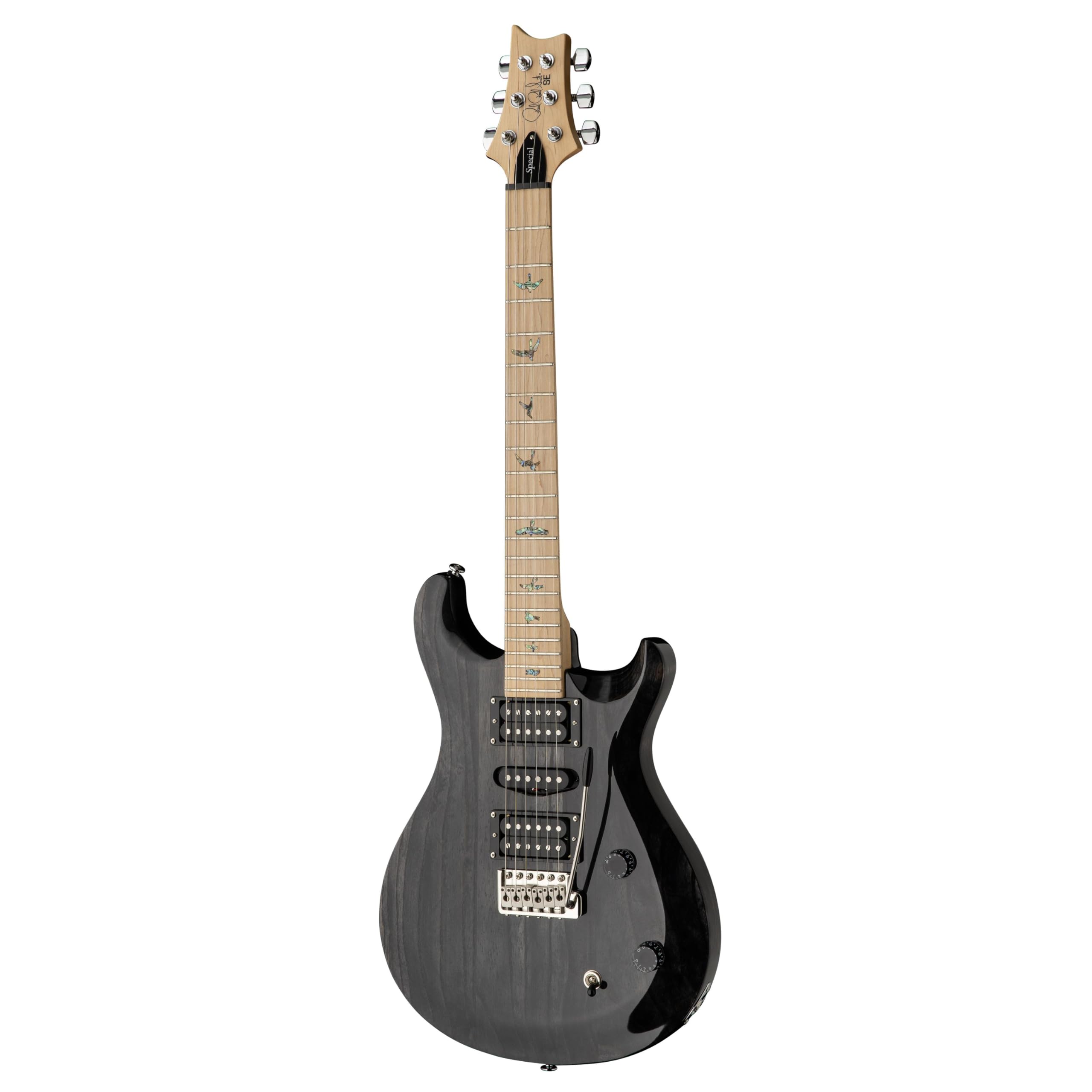 Amazon.com: PRS SE Swamp Ash Special Electric Guitar