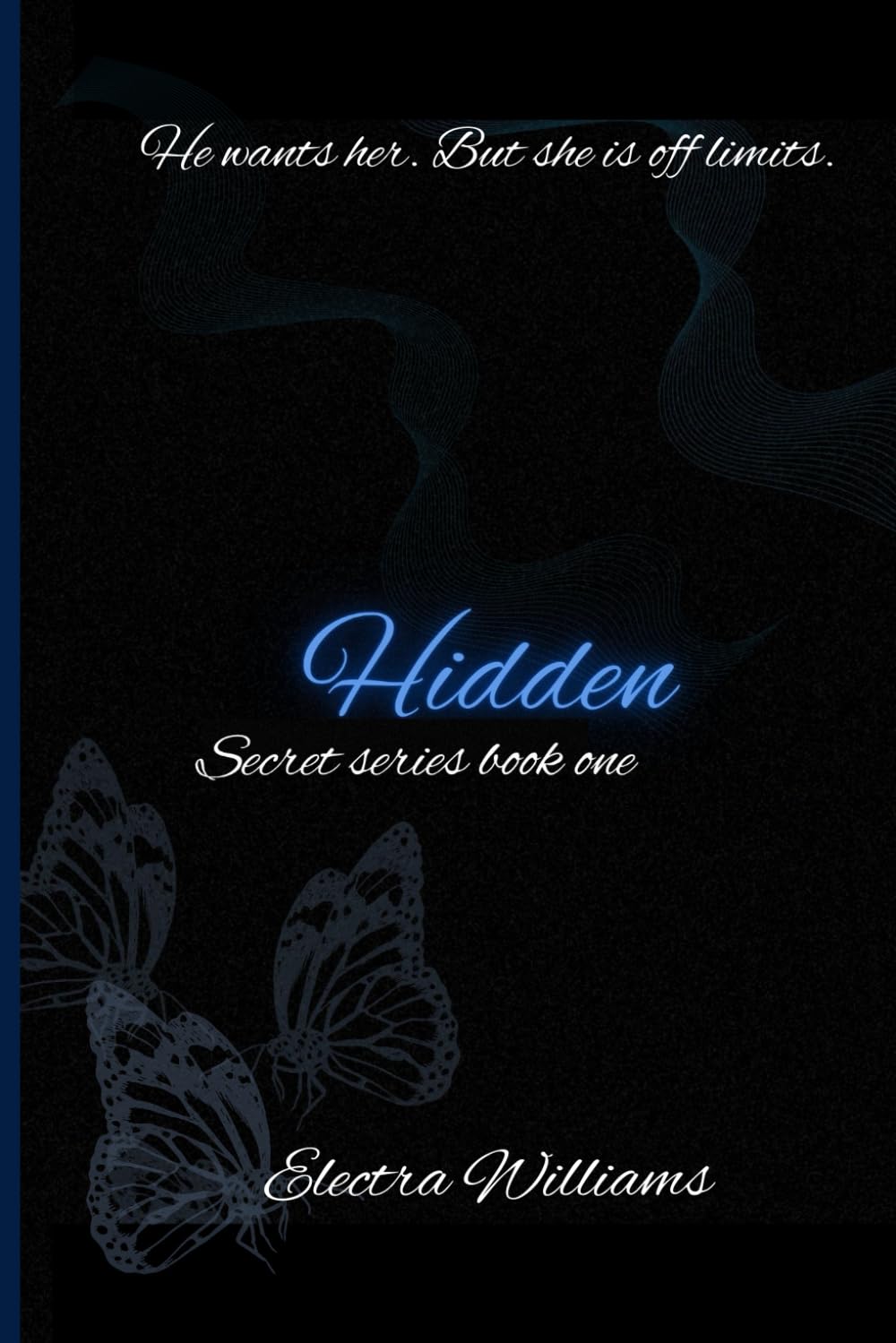 Hidden (Secret Series)