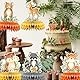 9 Stück Waben-Tafelaufsätze mit Waldtieren, 3D-Tischdekoration, Waldtiere, Babyparty-Dekorationen für Jungen und Mädchen, Wald-Motto-Geburtstagsparty-Dekorationen
