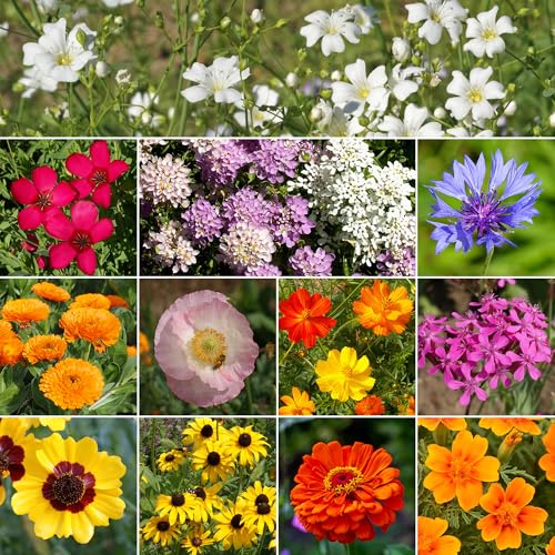 Image of Ferry-Morse Children's Garden Bulk Wildflower Seeds, 650,000+, 1 lb