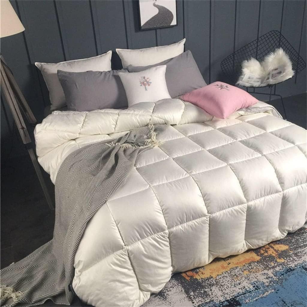 Goose Down Fiber Comforter Duvet Winter Quilt King Queen Twin Full Size(200x230cm 3kg)