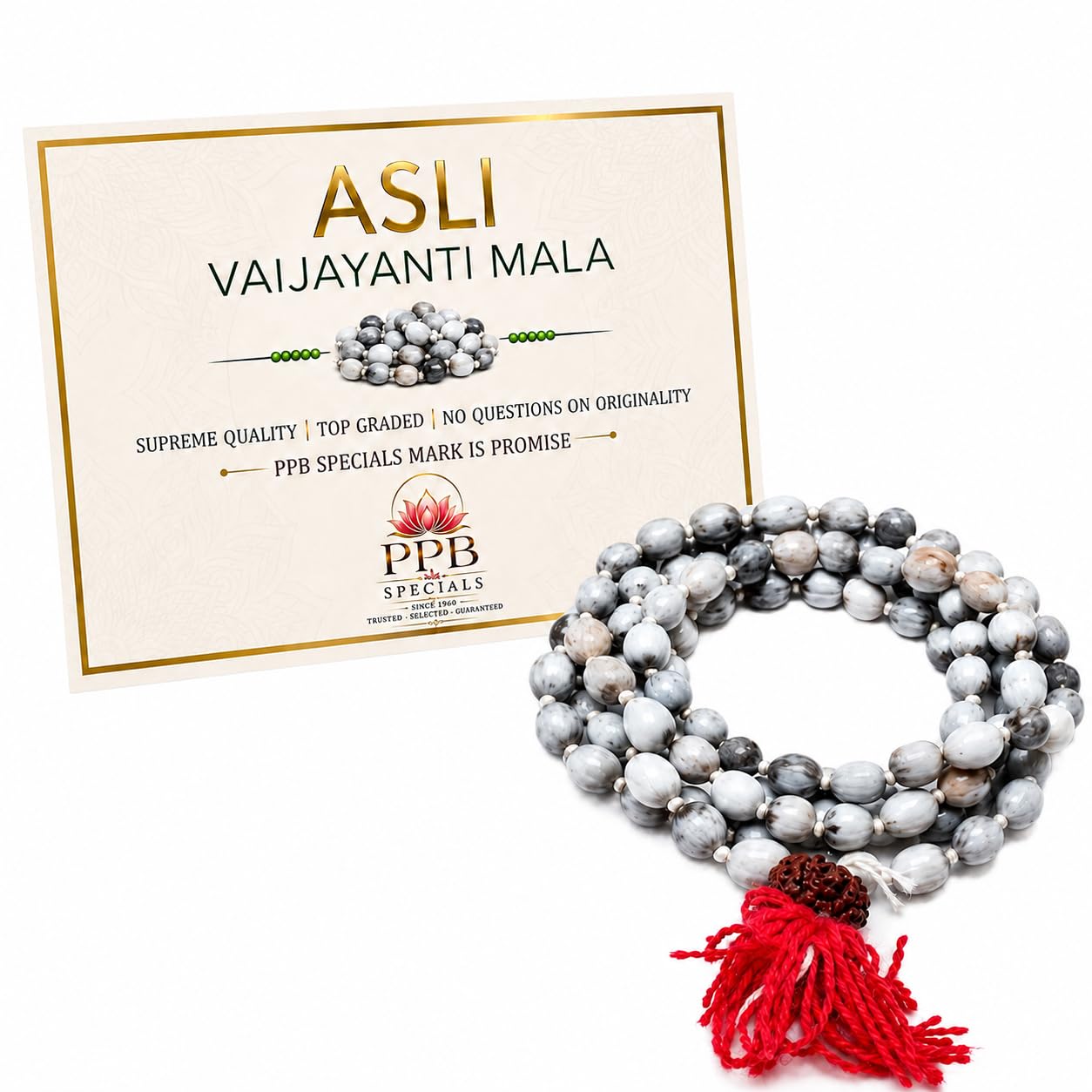 PPB_Specials Original Vaijayanti Mala 108+1 Beads with Panchmukhi 5 Mukhi Rudraksha Sumeru | Vaijanti Krishna Japa Mala | Natural Certified Rosary of Victory | Meditation Pooja, Chanting | Men & Women-picture-24