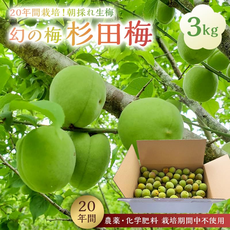 Amazon.co.jp: 幻の杉田梅農園Tsunoda 日本古来の貴重品種 幻の梅 杉田