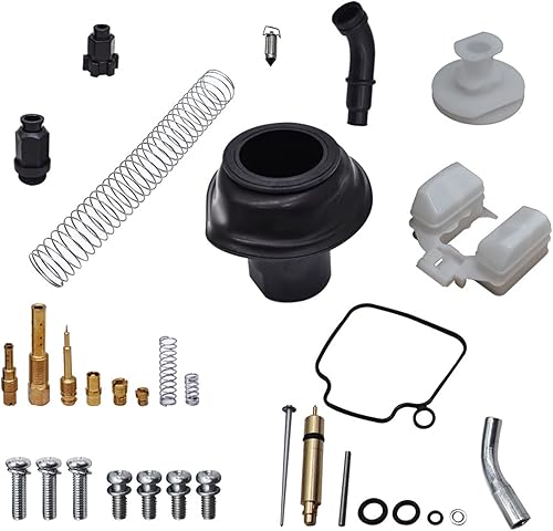 labwork Kit de reparación de carburador de carbohidratos para Honda Foreman Rubicon 500 TRX500 2005-2014 disponible en Yaxa Colombia