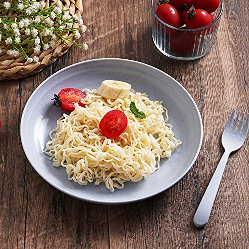 Tao Cicada Wheat Straw Dinner Plates, Pack Of 4 Reusable Unbreakable Wheat Straw Dinner Plates、Spoon And Fork, Dishwasher & Microwave Safe, Degradable Eco-Friendly For Children Adult #TOP5