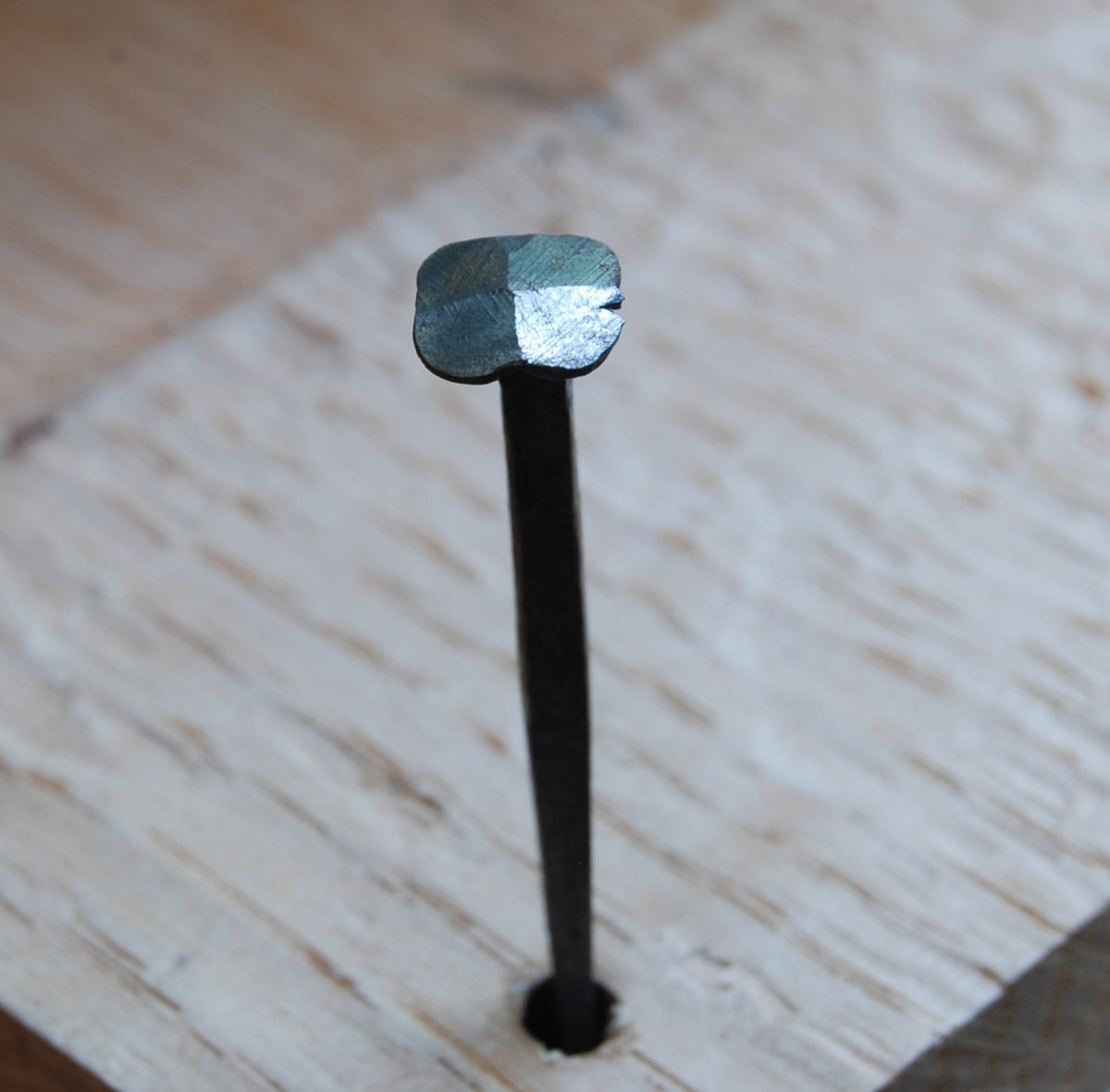 Acorn Manufacturing CW2M 2D Decorative Wrought Nail44; 1 lbs