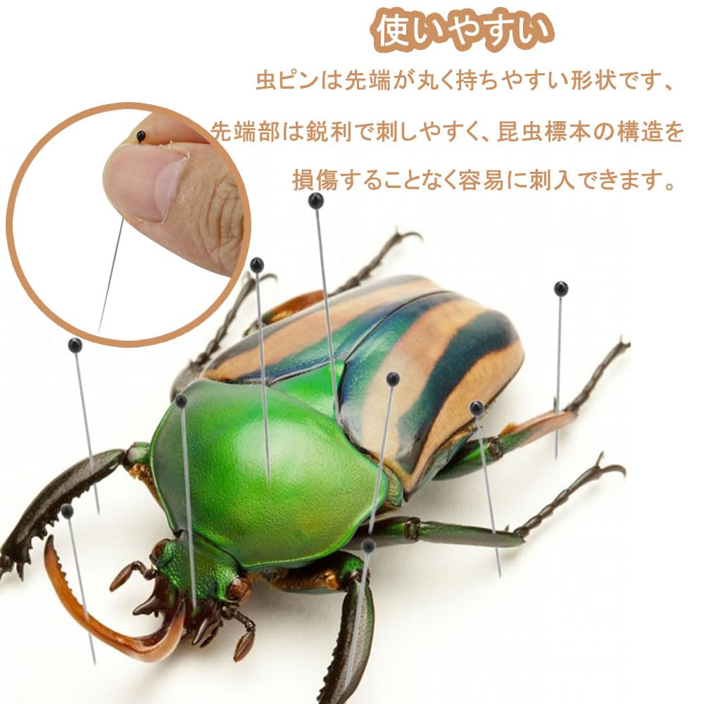 Amazon.co.jp: 虫ピン 昆虫標本針 約100本 ステンレス 昆虫針 Amazon.co.jp: 虫ピン 昆虫標本針 約100本 ステンレス 昆虫針