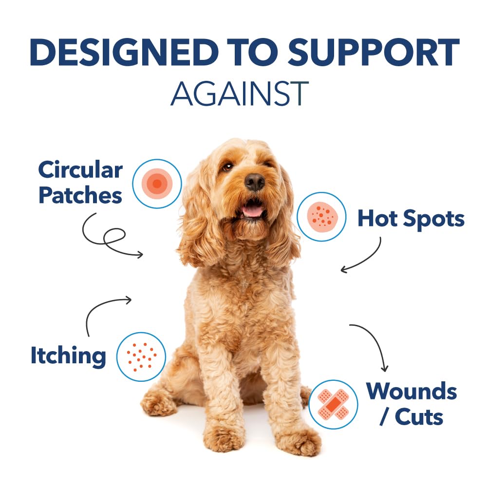 ChIorhexidine Spray by PetPal | with Aloe & VIT-B5 Panthenol | Hot Spot, Itch, Wound Care for Dogs and Cats | Relieves Itch, Rashes, Sores, Scrapes, Skin (8 fl oz / 240mL) — view 5