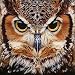 UPMALL DIY 5D Diamond Painting by Number Kits, Full Drill Crystal Rhinestone Embroidery Pictures Arts Craft for Home Wall Decoration OWL 15.75×11.81 inches