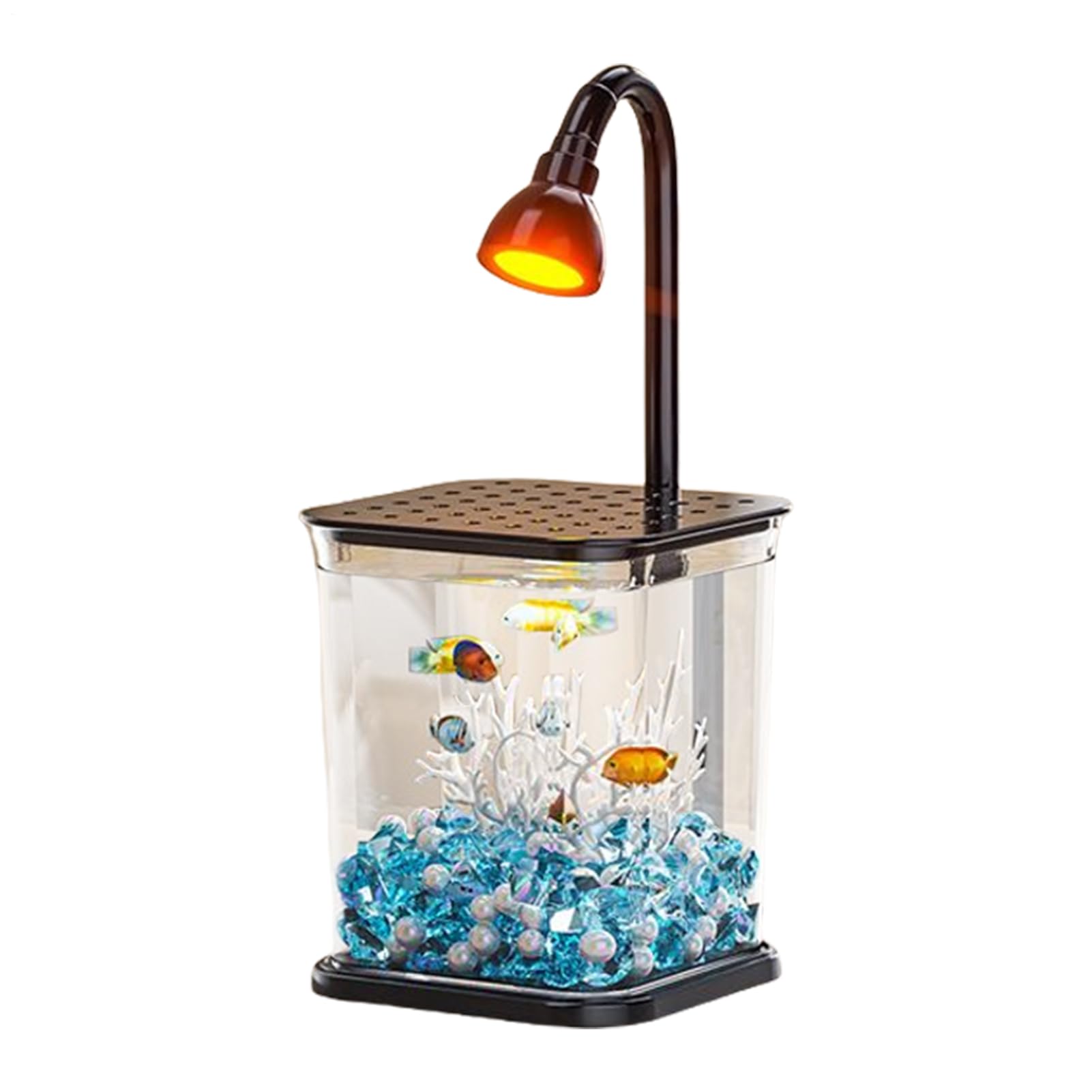 Aquarium en verre haut de gamme pour poisson combattant et décor de table