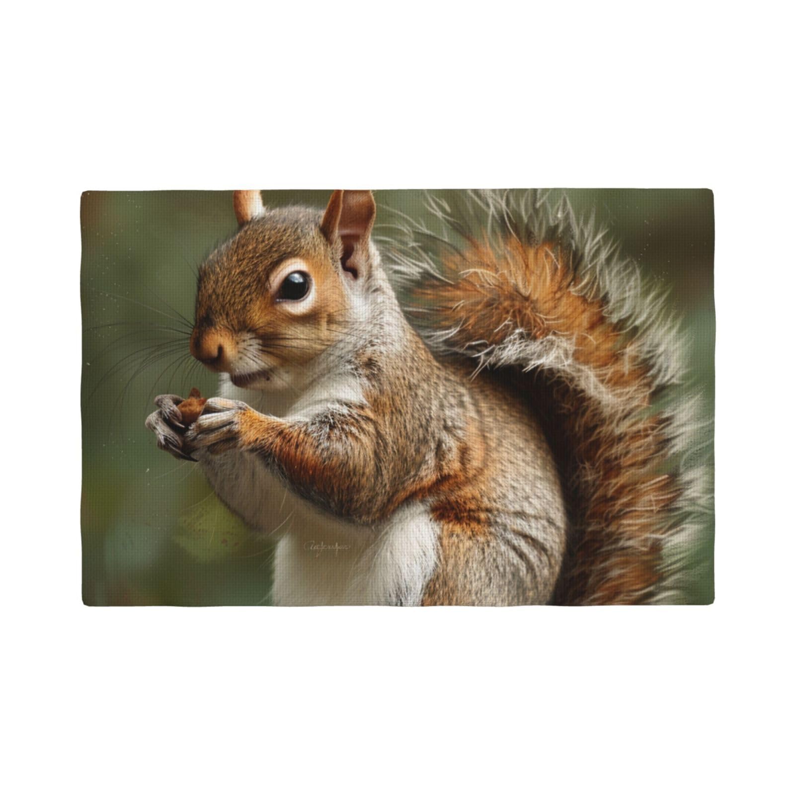 Squirrel Print Placemats Set, Heat Resistant Washable Placemat 12x18in Table Mats for Party Kitchen Dining Table Decoration Indoor Outdoor, Four Pieces