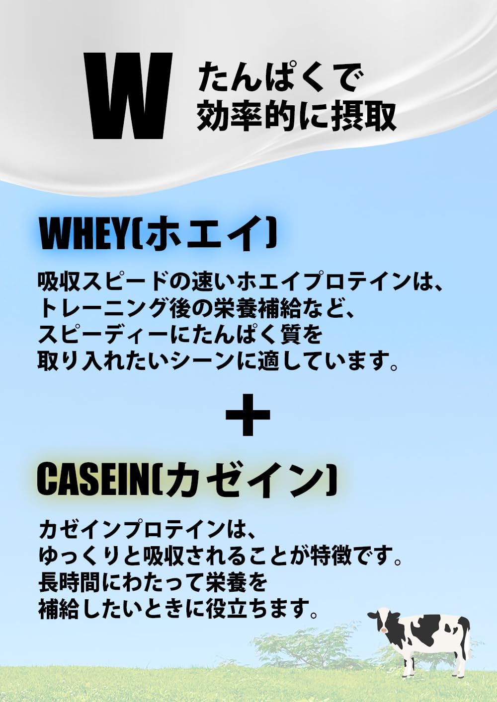 Amazon.co.jp: Kentai NEWウェイトゲイン アドバンス ミルクチョコ 3kg