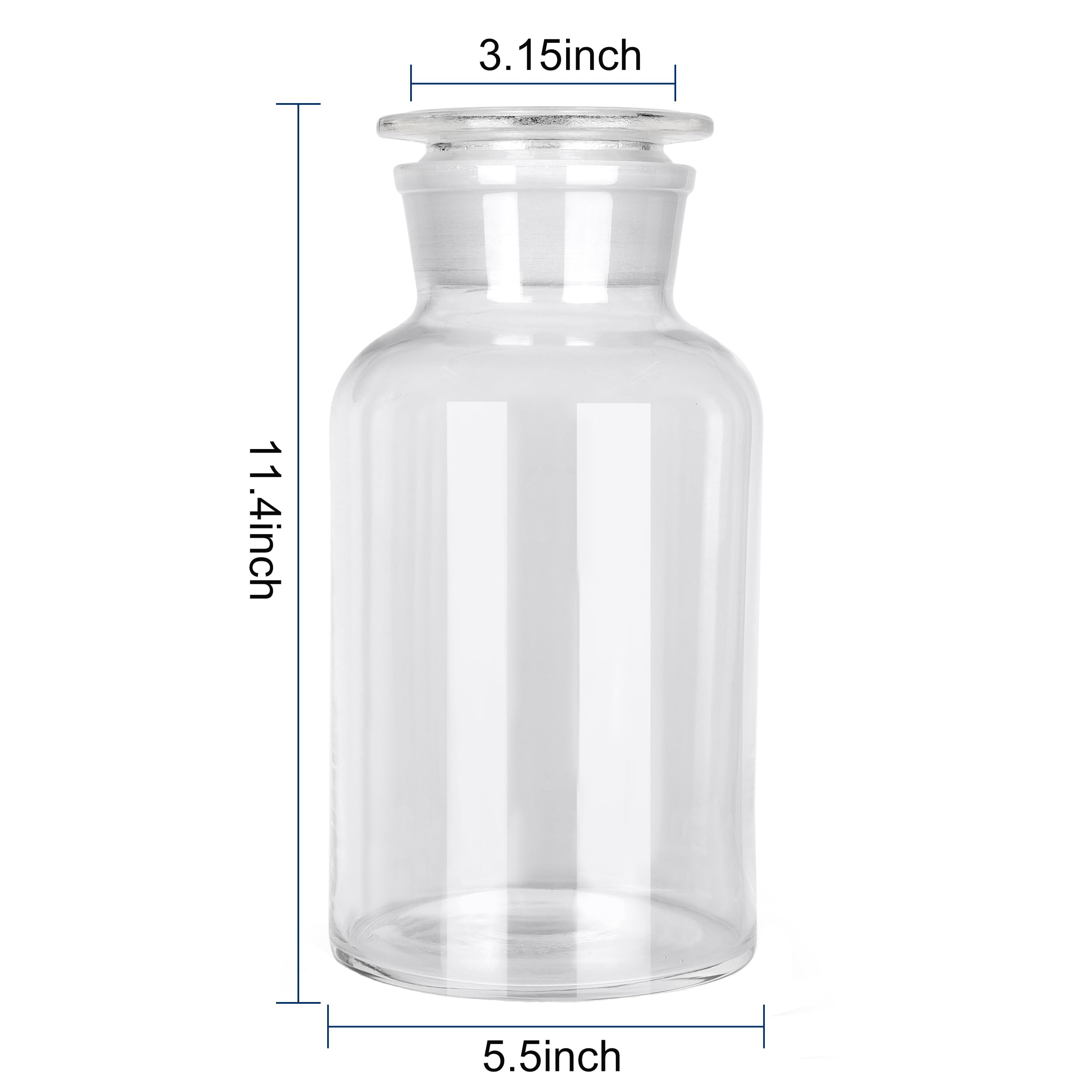 Laborflasche aus Borosilikatglas, Weithals, klare Glasflasche mit Bodenverschluss, dekorative Flaschen/Vase (transparent, 2500 ml/min)