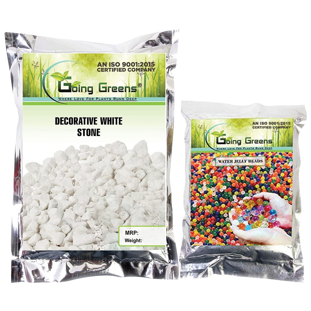 See full amazon price history chart for Going Greens Marble Chips Pebbles Stone for Garden & Indoor Outdoor Decoration- 900 Gm (White) & Going Greens Water Jelly Beads - 20 Gm (Purple) Going Greens Marble Chips Pebbles Stone for Garden & Indoor Outdoor Decoration- 900 Gm (White) & Going Greens Water Jelly Beads - 20 Gm (Purple) (B09ZVCFZNH) Amazon Price History, Amazon Price Tracker