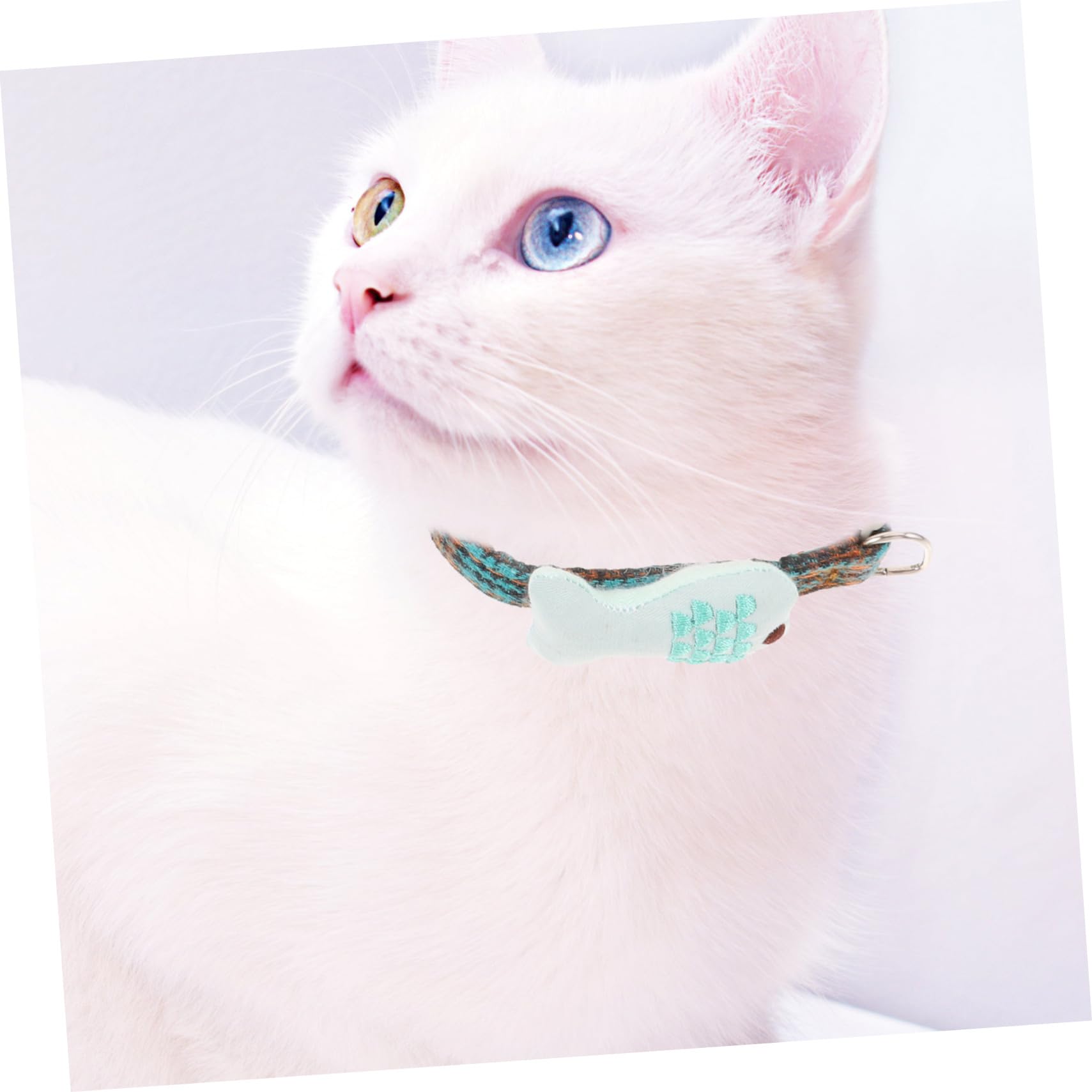 BESPORTBLE 12pezzi Collare Regolabile Per Gatti Forma Di Pesce Set Design Rete Accessori Per Animali Domestici Colorati e Creativi