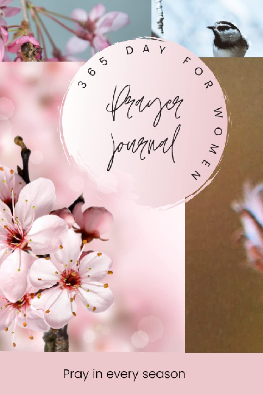 365 Day Prayer Journal for Women: Pray in Every Season