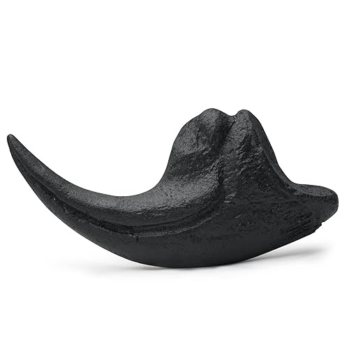 Miniatura 2 de Dientes fosilizados y garras de varios dinosaurios prehistóricos, dientes de tiburón megalodón y réplicas de alta fidelidad (garra de Allosaurus