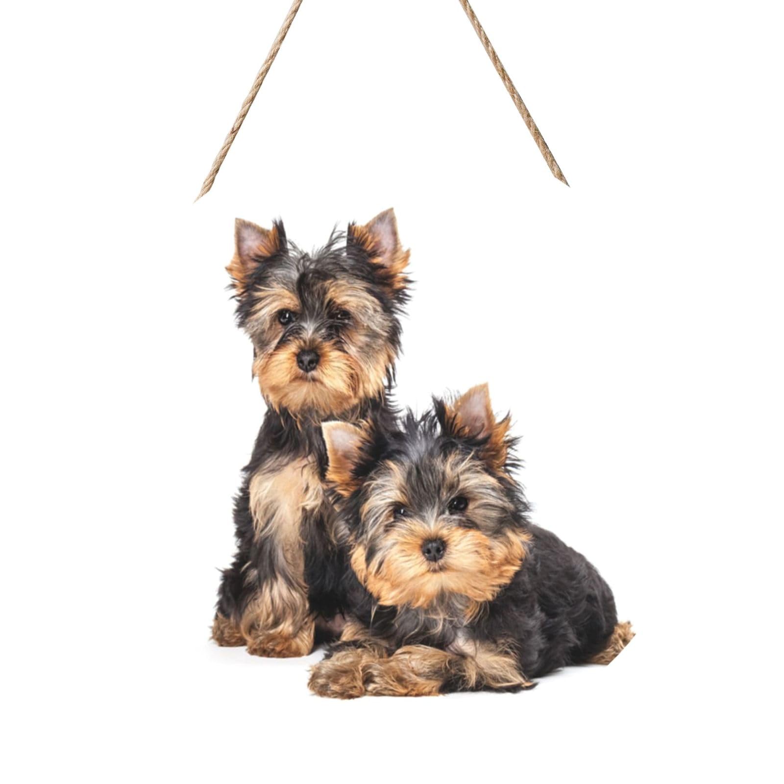 InOmak Two Yorkshire Terrier Puppies, Round Wood Panel Painting 12 in, Wall Hanging Painting For Home