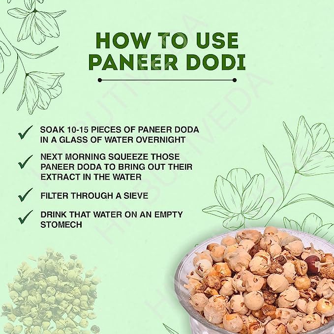 Hillbutiveda Paneer Phool Herb for Diabetes | Paneer Doda | Withania Coagulan | (100 gm) 1